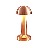Lampe de chevet Métal - Luxelumière