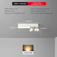 Plafonnier Nordique Moderne LED pour Chambre Salon Salle à Manger - Décoration Intérieure Maison