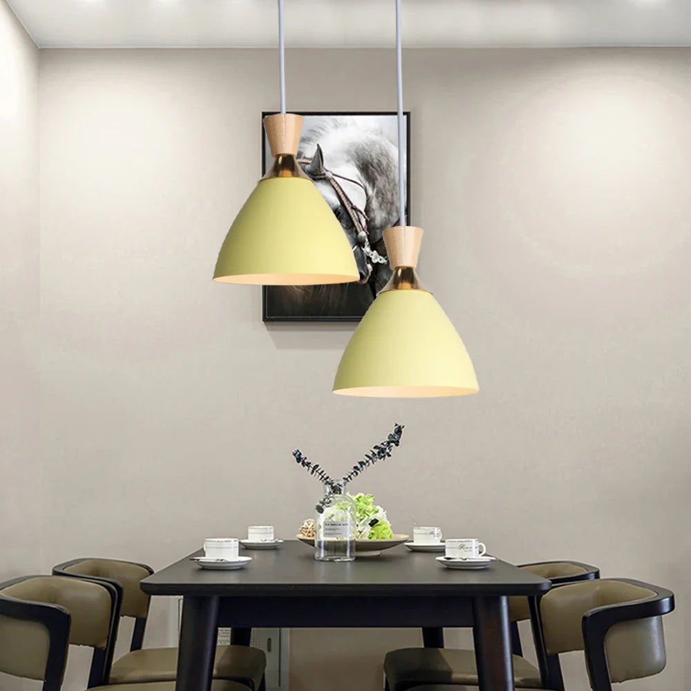 Lustre LED Nordique Moderne
