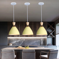 Lustre LED Nordique Moderne