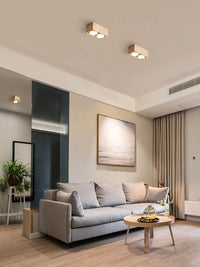 Plafonnier Downlight Japonais - Grille Audacieuse