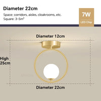 Plafonnier LED Blanche pour Ambiance Décorative