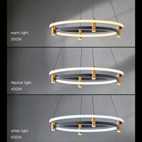 Lustre LED Nordique en Forme d'Anneau - Suspension Lumineuse Décorative