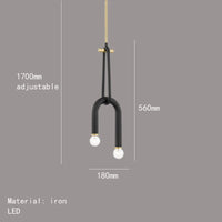 Lustre Créatif à 2 Ampoules - Hauteur Réglable en Métal