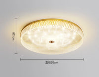Plafonnier LED Circulaire Minimaliste Moderne en Acrylique - Éclairage Élégant