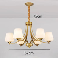 Lustre LED Moderne Design - Luminaire Décoratif d'Intérieur