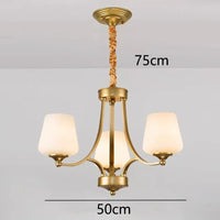 Lustre LED Moderne Design - Luminaire Décoratif d'Intérieur