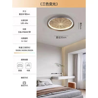 Plafonnier LED Romantique et Moderne