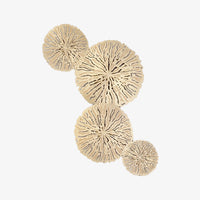 Applique murale LED Lotus Idda