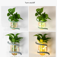 Applique murale nordique en bois avec plante verte - Élégance scandinave