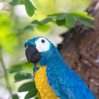 Applique murale Perroquet Chic | Marco Lucetti