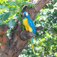 Applique murale Perroquet Chic | Marco Lucetti