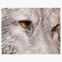 Applique murale vintage en résine loup avec LED intégrée | Marco Lucetti