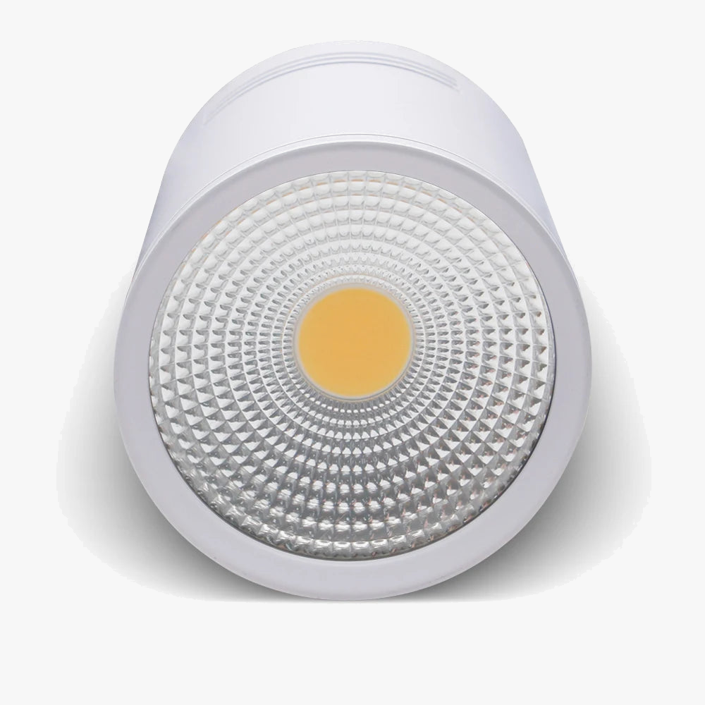 Spot Dimmable LED COB monté en Surface Downlight 3W/5W/7W/10W/12W/15W - Blanc/Noir - Design Premium