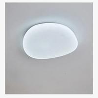 Galets lumineux nordiques : plafonniers LED modernes pour éclairer votre intérieur | Marco Lucetti