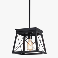 Ganeed Suspension Cage en métal avec finition bois - Lustre rustique à 1 lumière | Marco Lucetti