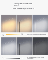 Lampadaire LED Super lumineux - Lampe de lecture Minimaliste | Marco Lucetti