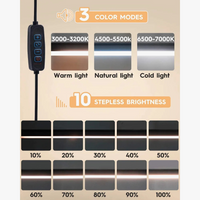 Lampe de bureau LED 10W avec pince