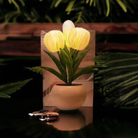 Lampe de chevet Fille - Luminia | Marco Lucetti