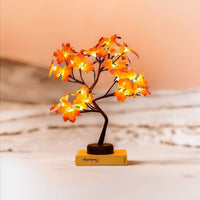 Lampe de chevet originale - Lucio | Marco Lucetti Erable