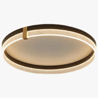 Lampe de plafond LED Minimal Luxe avec Télécommande