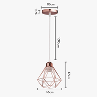 Lampe de suspension suspendue en cage en fer Loft Moderne - Or Rose | Marco Lucetti 2