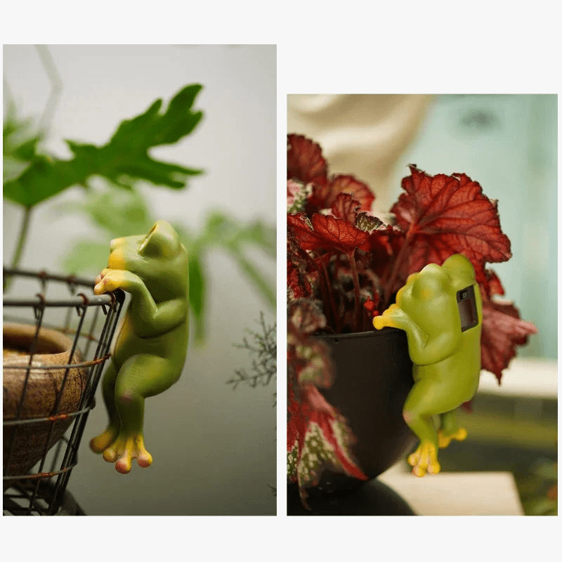 Lampe solaire de jardin grenouille coquine studieuse en résine avec Led Bub lumière waterproof | Marco Lucetti