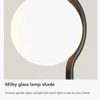 Lampe solaire en verre de haricot magique, LED salon moderne, or et noir. | Marco Lucetti