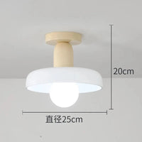 Lampe Suspendue en Verre Nordique pour une Décoration Intérieure Élégante | Marco Lucetti 21