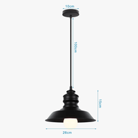Lampe suspendue Rétro Loft Led  en fer noir pour une décoration tendance | Marco Lucetti Noir