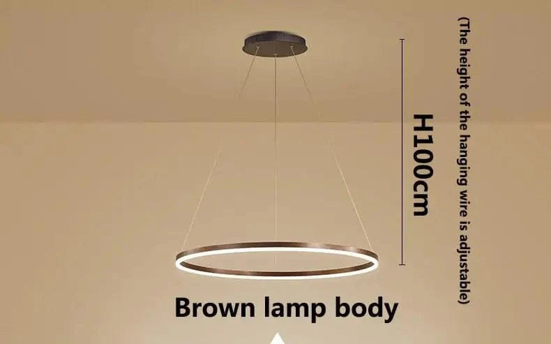 Lampes LED Suspendues Nordic Minimalist Circle Ring | Marco Lucetti Corps de lampe marron / 40 cm / Blanc chaud