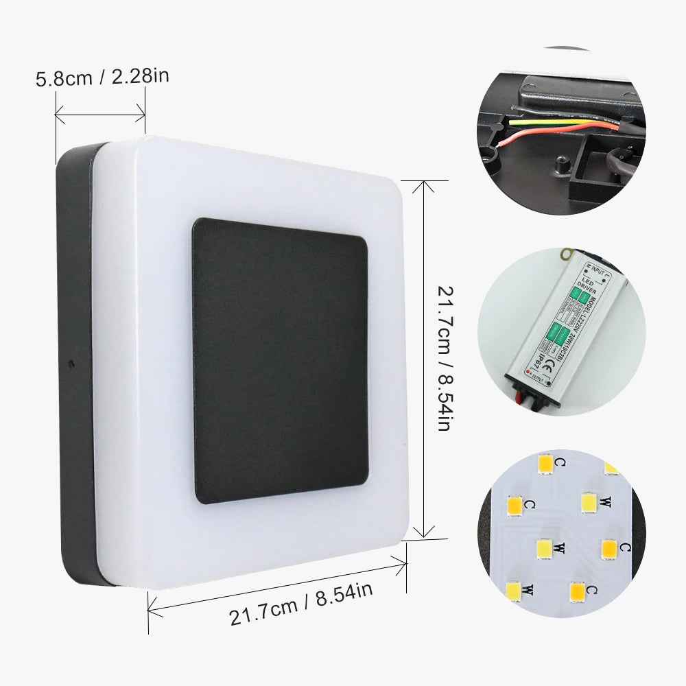Applique Murale Extérieure en Aluminium IP65 avec Capteur de Mouvement