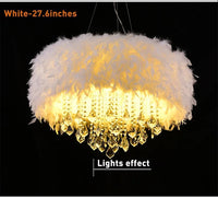 Lustre Plume LED Créatif et Romantique