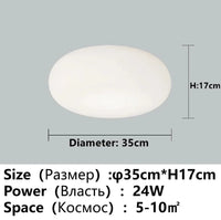 Lustre LED Apple - Élégance Moderne pour la Maison | Marco Lucetti Plafonnier D35CM A / Promesse avec télécommande