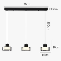 Lustre LED Décoratif pour un Éclairage Intérieur Moderne