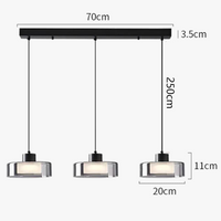 Lustre LED Décoratif pour un Éclairage Intérieur Moderne