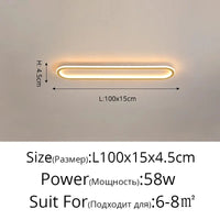 Lustre LED Minimaliste en Bande Acrylique avec Projecteur Moderne - Design Épuré | Marco Lucetti Or A 100cm 58W / Blanc chaud pas de télécommande