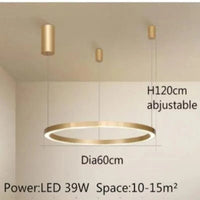 Lustre LED Moderne brossé avec Anneau Lumineux - Éclat Design | Marco Lucetti 1 anneau Dia60CM / Blanc froid pas de RC