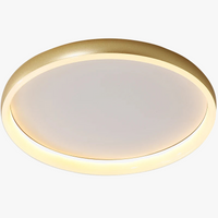Lustre LED Design Moderne pour Éclairage Intérieur