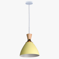 Lustre LED Nordique Moderne