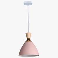 Lustre LED Nordique Moderne