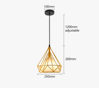 Lustre Cage à Oiseaux Moderne Loft