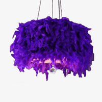 Lustre Plumes Colorées