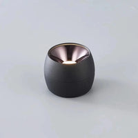 Mini-Spot LED COB Plafonnier pour Décoration Lumineuse d'Allée | Marco Lucetti Noir / 6000K / 10W à intensité variable