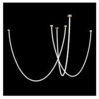 Minimal Line™ Salon | Marco Lucetti