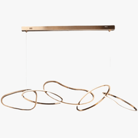 Nouveau Lustre Nordique Luxe Créatif en Acier Inoxydable Galvanisé pour Restaurant Moderne | Marco Lucetti