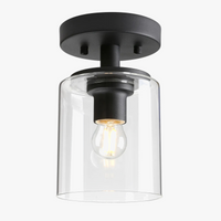 Plafonnier Élégance en Verre Transparent