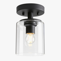 Plafonnier Élégance en Verre Transparent