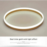 Plafonnier circulaire Alec nordique pour salon salle à manger chambre - Lampe de plafond LED Lampa Sufitowa | Marco Lucetti Doré 40 H6CM-35W / Lumière froide