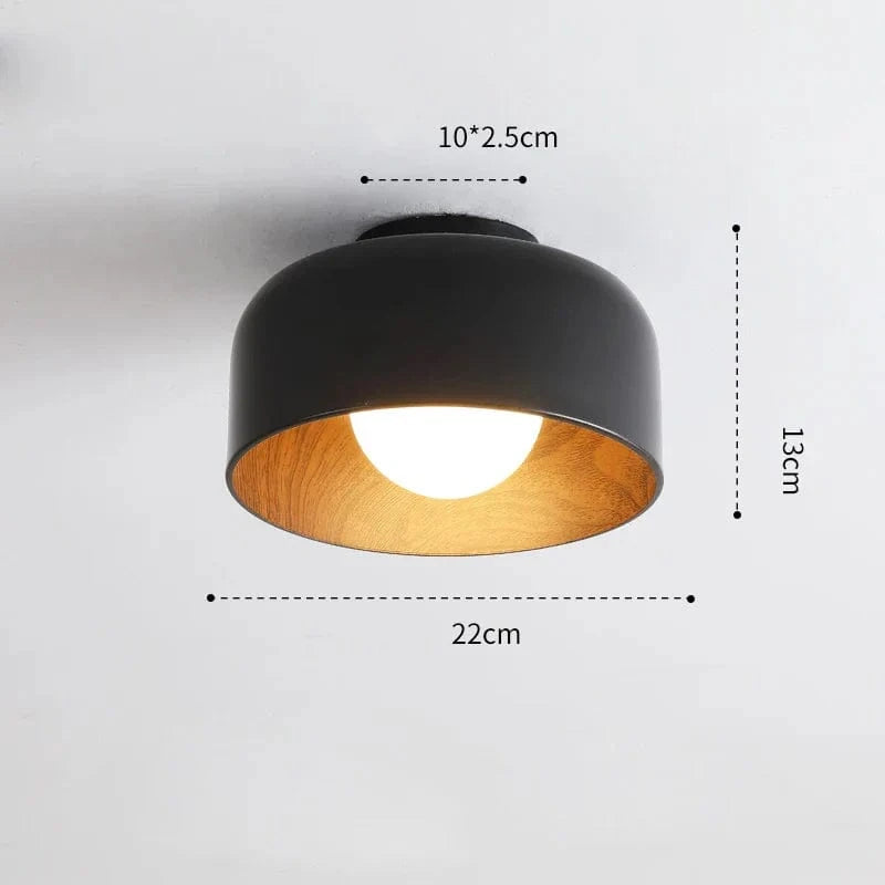 Plafonnier design en métal pour un éclairage intérieur stylé | Marco Lucetti Noir / Changeable